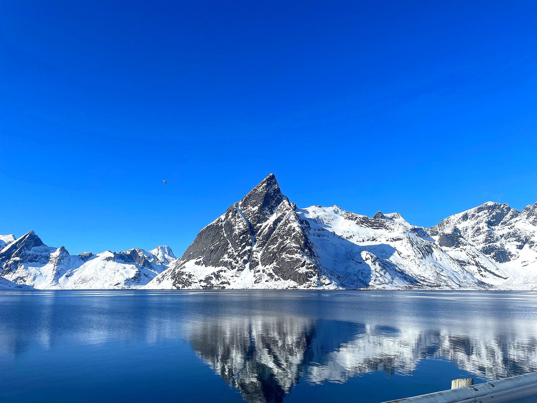 Reinefjorden i vinterdrakt, med snødekte tinder speilet i det blikkstille vannet